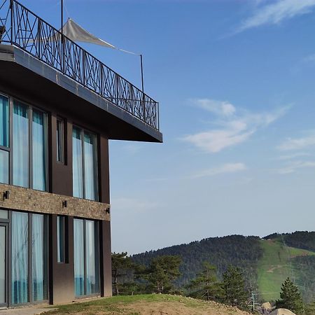 Vila Onyx Divčibare Dış mekan fotoğraf